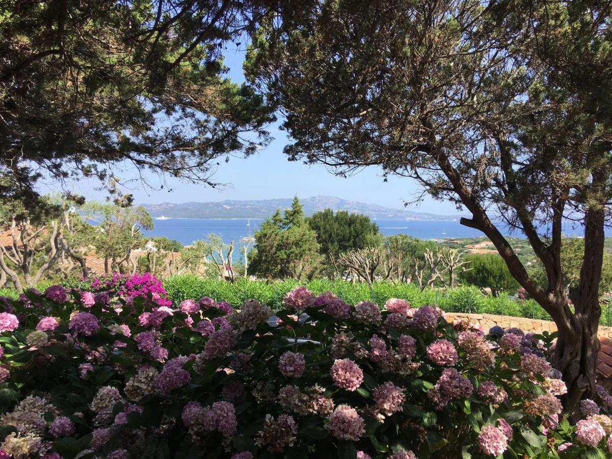 Punta Lada Apartment Porto Rotondo Bagian luar foto